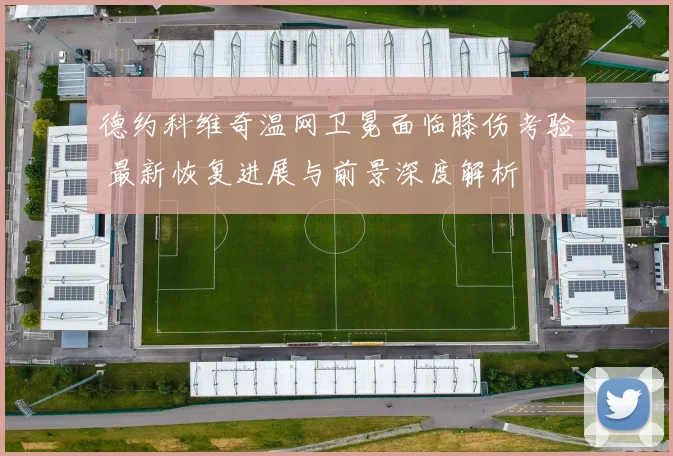 德约科维奇温网卫冕面临膝伤考验 最新恢复进展与前景深度解析
