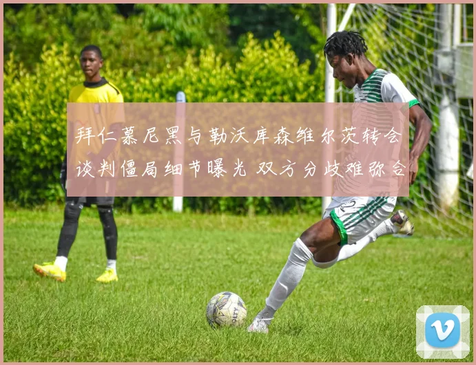 拜仁慕尼黑与勒沃库森维尔茨转会谈判僵局细节曝光 双方分歧难弥合