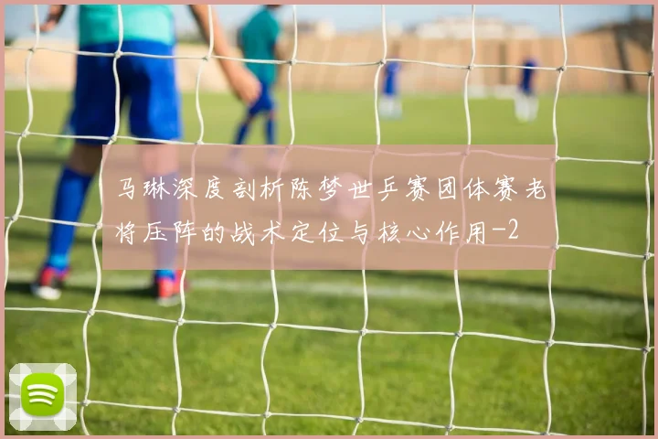 马琳深度剖析陈梦世乒赛团体赛老将压阵的战术定位与核心作用