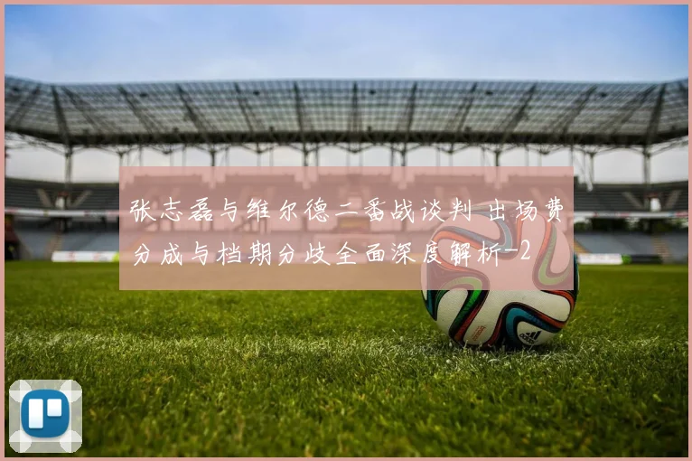 张志磊与维尔德二番战谈判 出场费分成与档期分歧全面深度解析