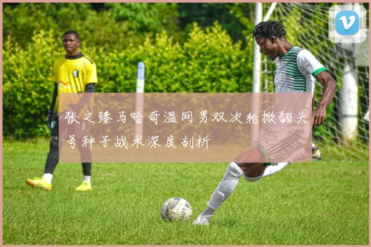 张之臻马哈奇温网男双次轮掀翻头号种子战术深度剖析